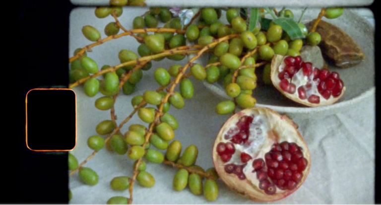 A still image from a Super 8 wedding film shows an branch of olives sitting on a table beside an opened pomegranate at a Maas Building wedding.