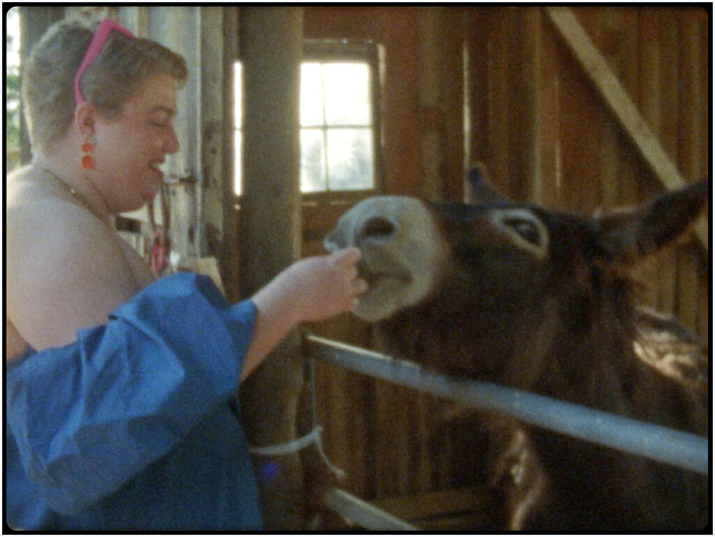 Wedding guest feeds a donkey on Beltane Ranch in Sonoma, CA.