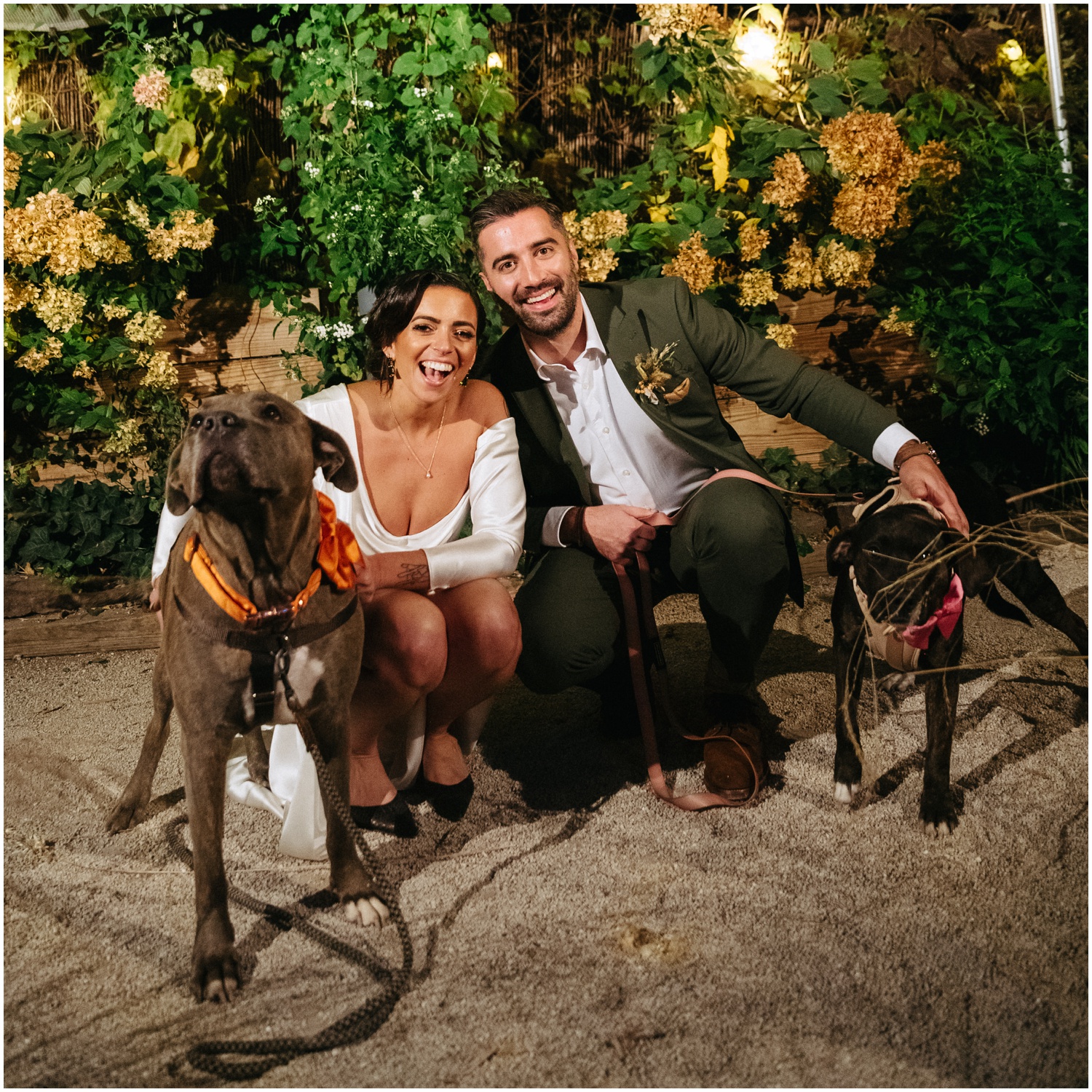 The bride and groom pose with their dogs at their Philadelphia wedding.
